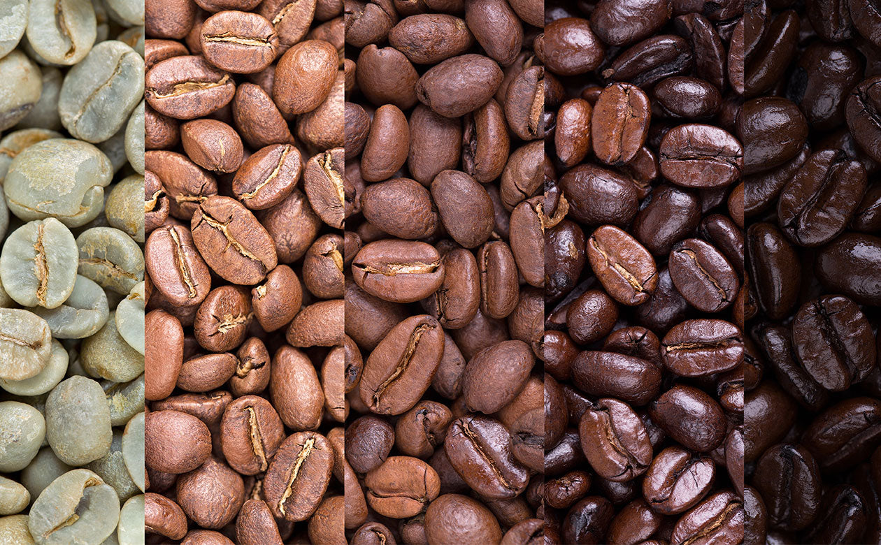 Coffee bean roasting progression stages