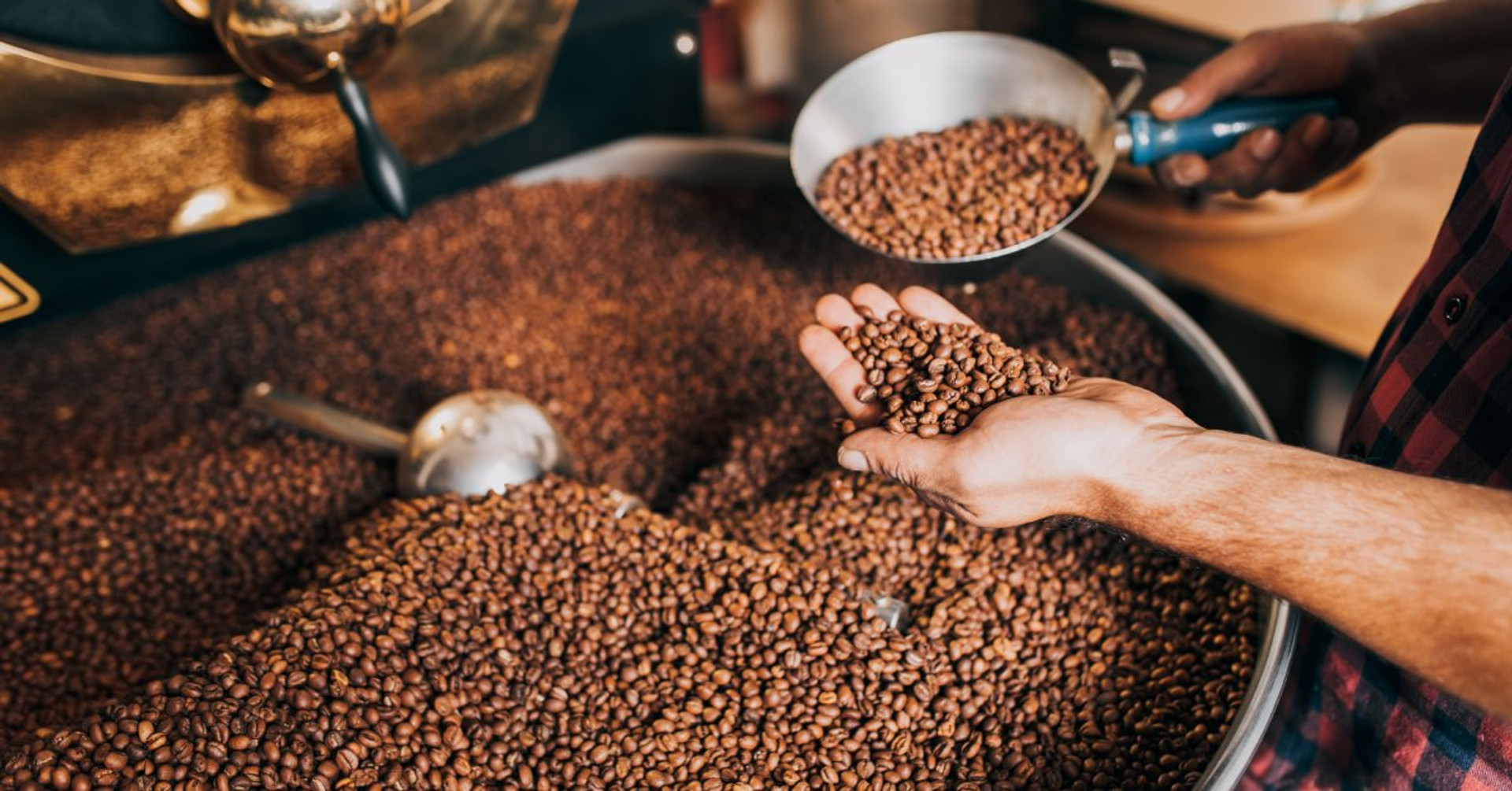 Professional coffee bean inspection